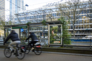 ROTTERDAM - Hormbach abri halte Stadhuis Coolsingel Rotterdam.