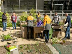 HORNBACHhelpt geeft verhoogde tuinbakken Westerwiek nieuw leven